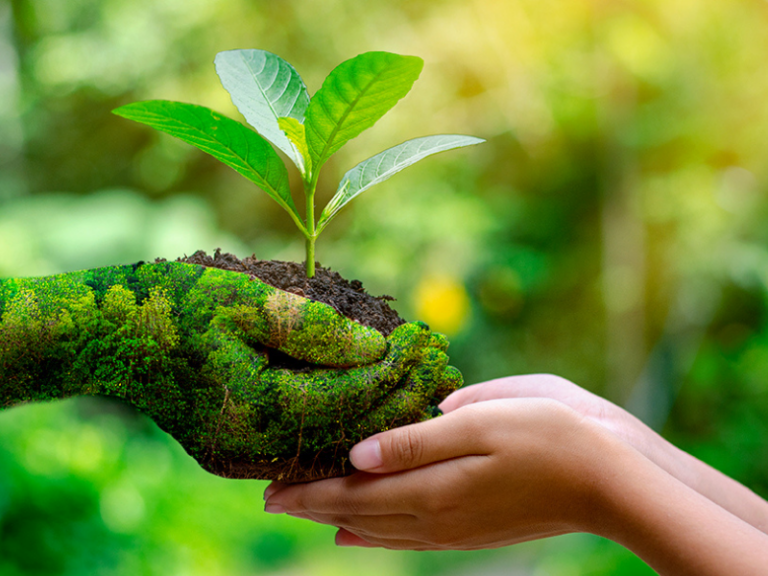 Agroecologia e nuovo umanesimo  Sabato 16 gennaio 2016