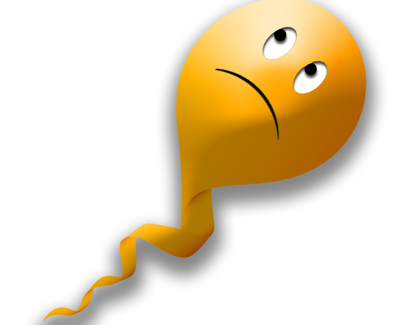 spermatozoo triste