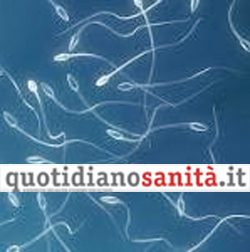 quotidiano sanita