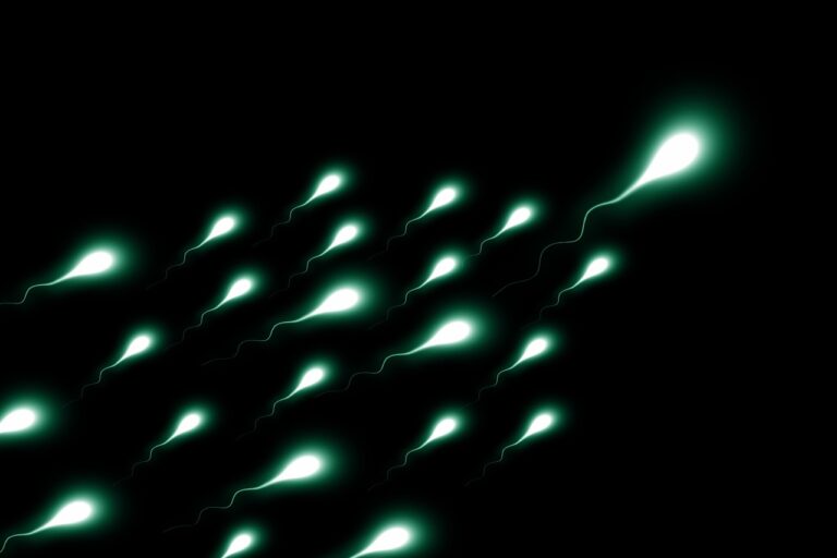 Nelle zone ad alto rischio ambientale la qualità del liquido seminale è ridotta: alterato il 35% del DNA spermatico