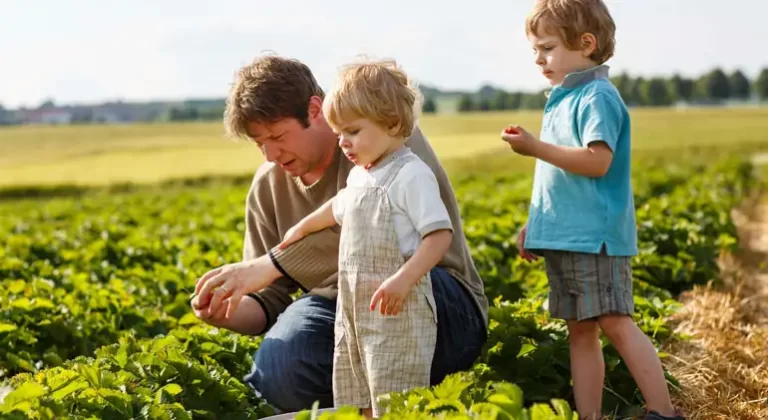 The Future of Farming, Smart Irrigation Solutions