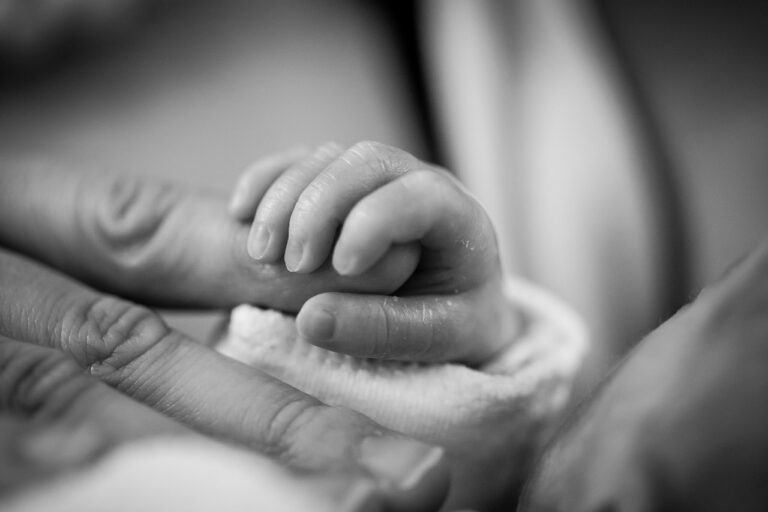 Gli Stati Generali della Natalità