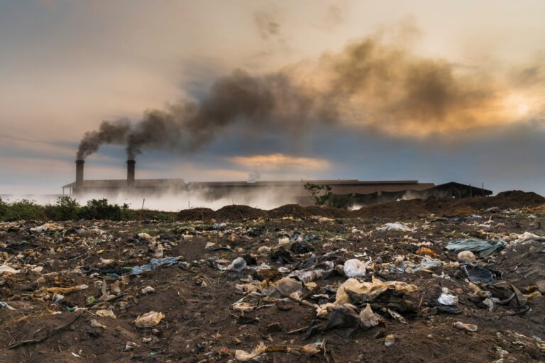 La riscossa delle coscienze: dall’ambiente alle guerre, un grido dal basso per giustizia e valori