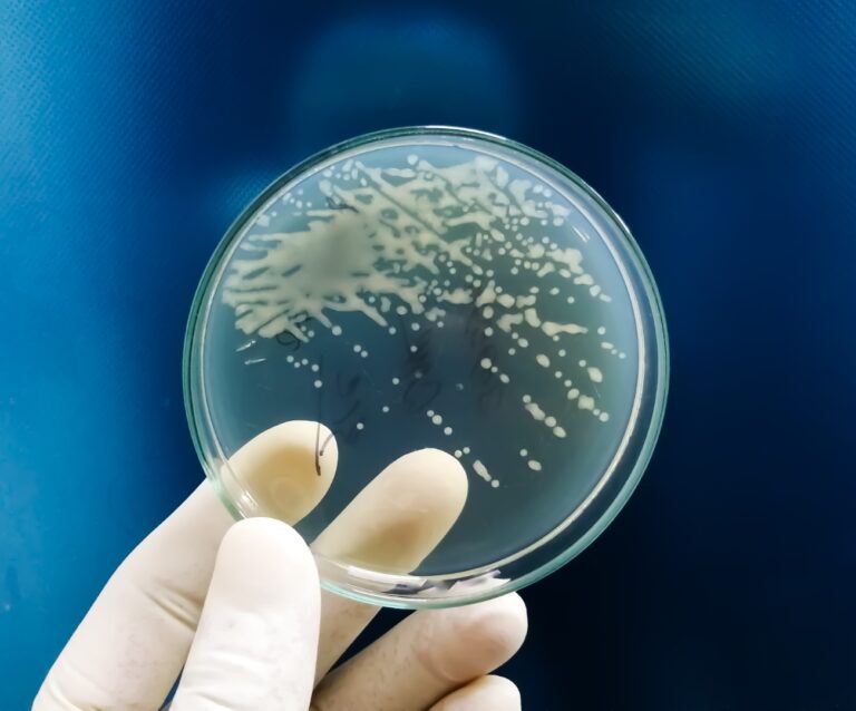 Dieta mediterranea e sport riducono i danni dell’inquinamento sulla fertilità, studio promosso dalla Asl di Salerno