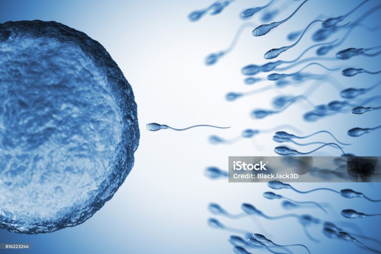Primi risultati dello Studio FASt (Fertilità, Ambiente, Stili di Vita)