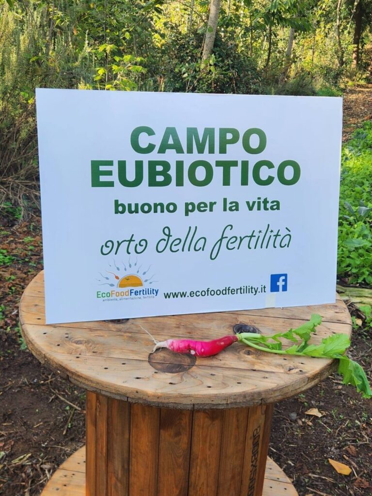 Su “Mondo Sanità” la ricerca che nasce dal territorio e genera rigenerazione