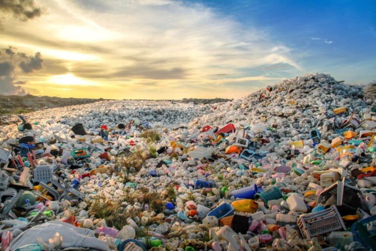 “Emergenza planetaria plastica”: lettera aperta di Marevivo ai direttori dei giornali