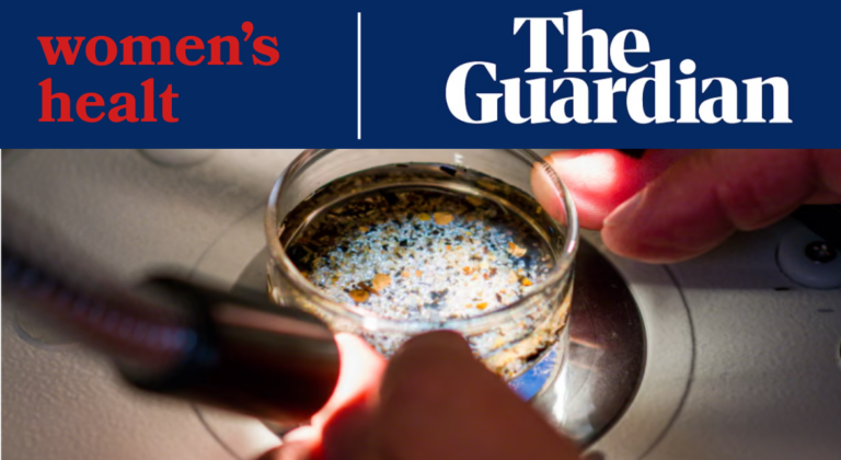 articolo microplastiche the guardian