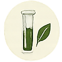 EcoFoodFertility - api ic5