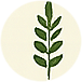 EcoFoodFertility - api r3