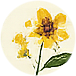 EcoFoodFertility - api r7