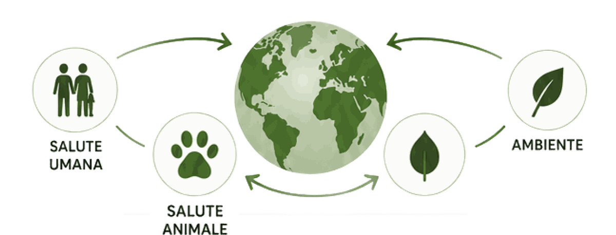 EcoFoodFertility - can circle