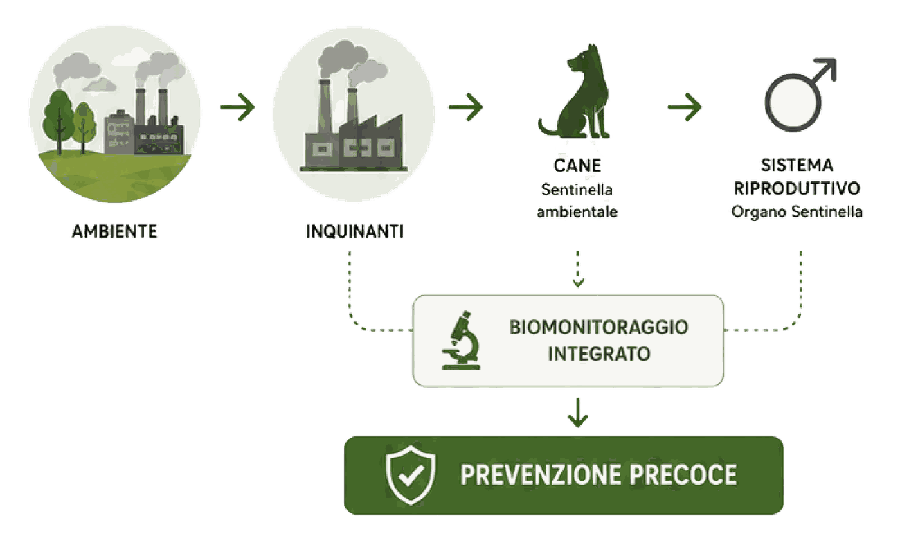 EcoFoodFertility - can flow