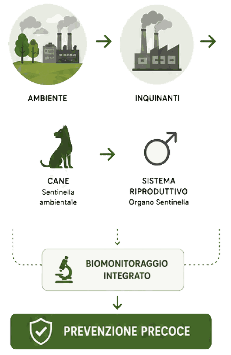 EcoFoodFertility - can flow m