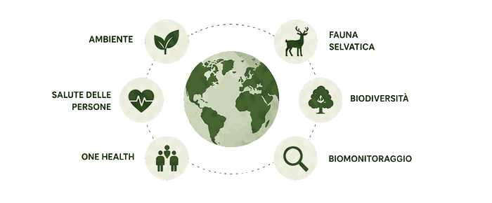 EcoFoodFertility - fal circle