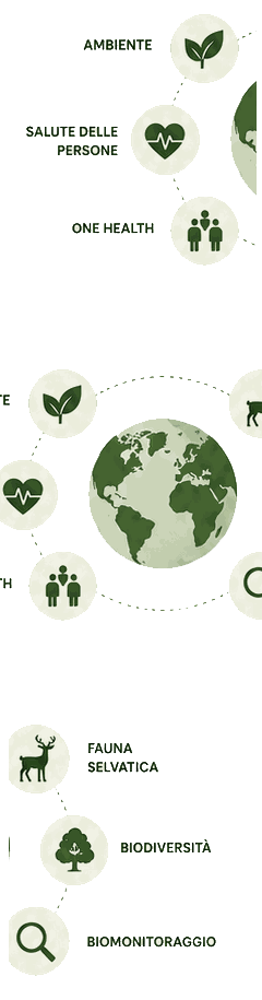 EcoFoodFertility - fal circle m