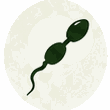 EcoFoodFertility - fal ic5