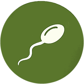 EcoFoodFertility - fast ovulo