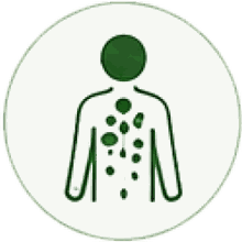 EcoFoodFertility - gia ic3