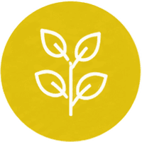 EcoFoodFertility - amb ic agroecology