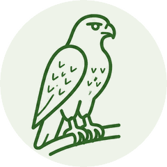 EcoFoodFertility - vet ic falchi