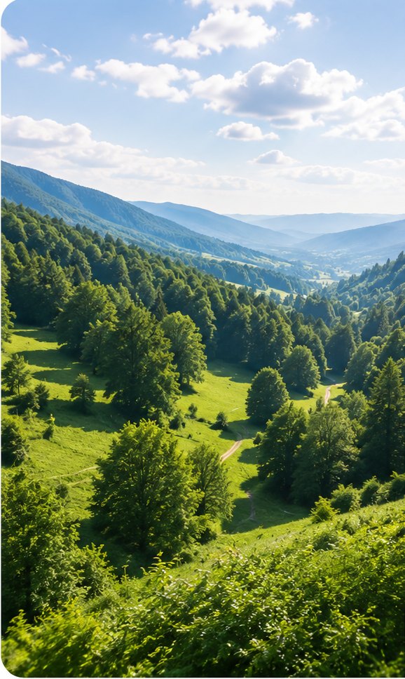 EcoFoodFertility - ldr ambientale