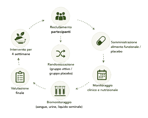 EcoFoodFertility - ecn ciclo