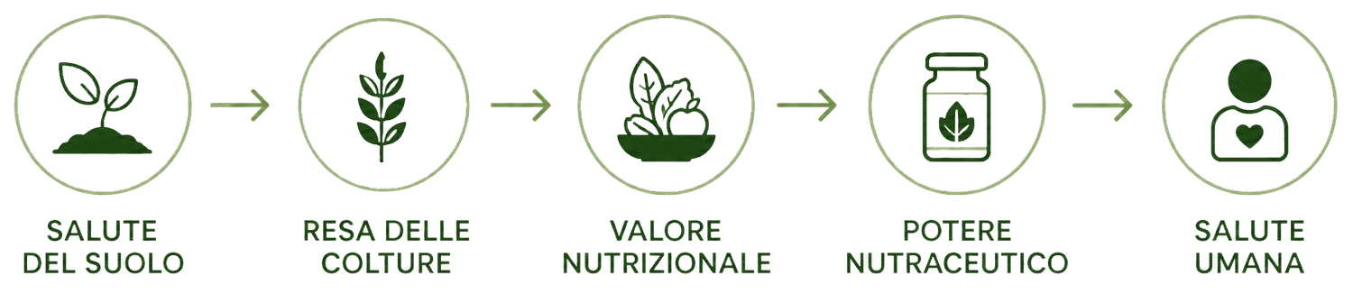 EcoFoodFertility - amb info agroecology
