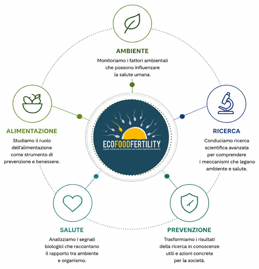 EcoFoodFertility - info onehealth