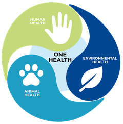 EcoFoodFertility - logo onehealth