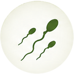 EcoFoodFertility - pfa ic6