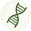 EcoFoodFertility - pfa r4