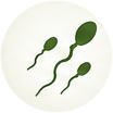 EcoFoodFertility - pfa r5