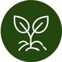 EcoFoodFertility - rte filiera1