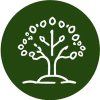 EcoFoodFertility - rte filiera2