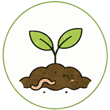 EcoFoodFertility - rte prod1