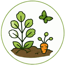 EcoFoodFertility - rte prod2