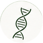EcoFoodFertility - ina ic4