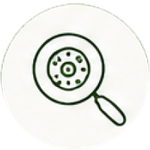 EcoFoodFertility - ina ic5